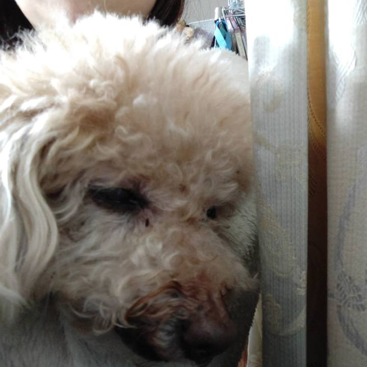 Bc06308e 611e 416c 925f fa6cc58c8fa0 1677931247200