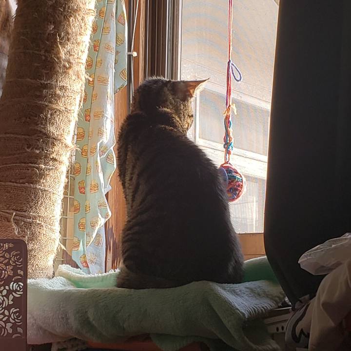 Bc06d737 c9f0 420c 8eb7 dc59bbce7d19 1542061648533