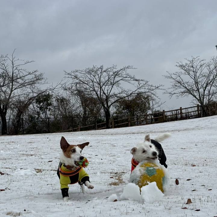 Bc073be1 025d 4e5b a3a1 44d9a9242624 1767262245741