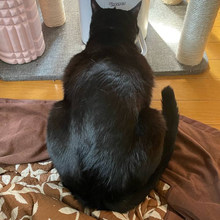 Bc076563 d2e9 4829 a804 533ec46e18c2 1650434923268