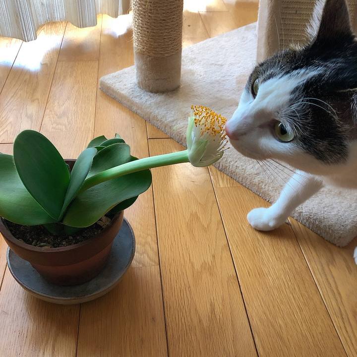 Bc0766ca f4f0 49a7 b0a5 de2e38044624 1666590395119