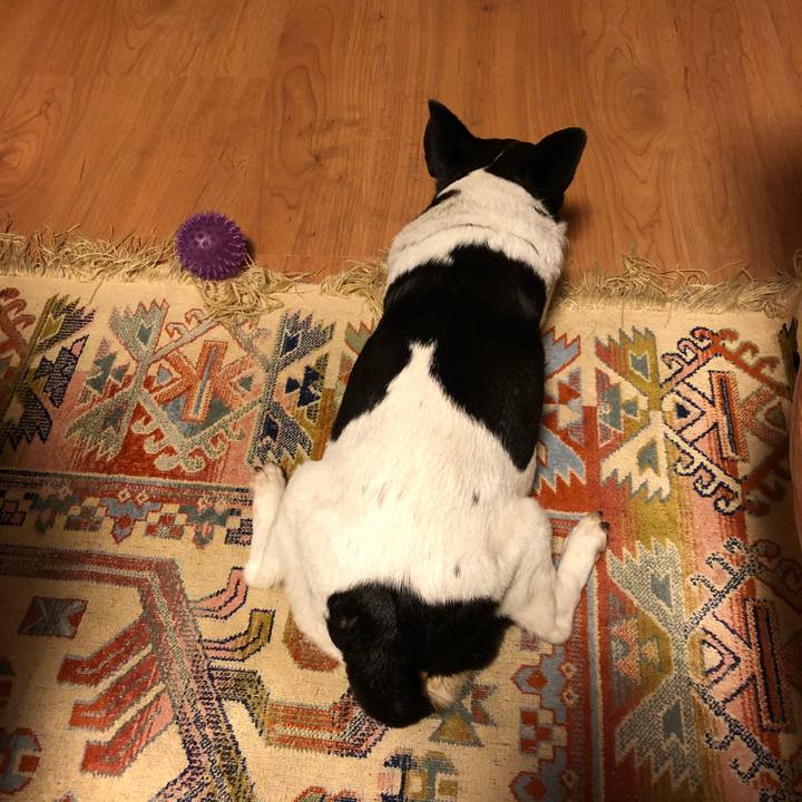 Bc0779c9 d486 44ce 88b1 7b037029deb5 1527681502845