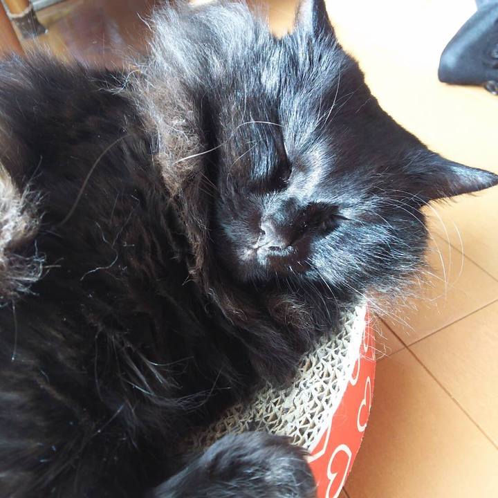 Bc077c47 cf6d 4857 b65f d8413c0ca322 1547443253652