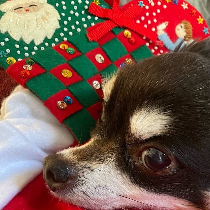 Bc078cf4 2a0a 458a a1e2 8b4d1c9fe344 1640314260911