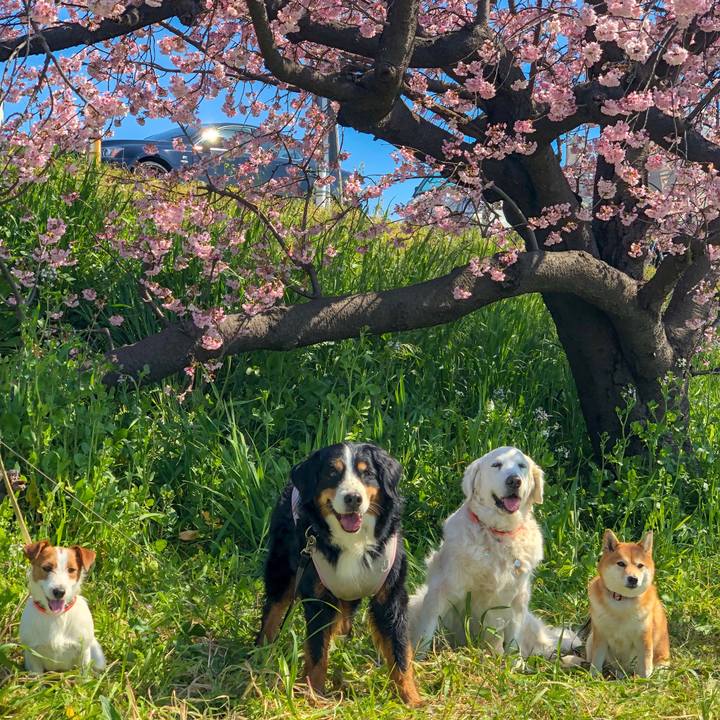 Bc07a6b4 07a5 4896 bf0a 4909644f5a24 1552539309066