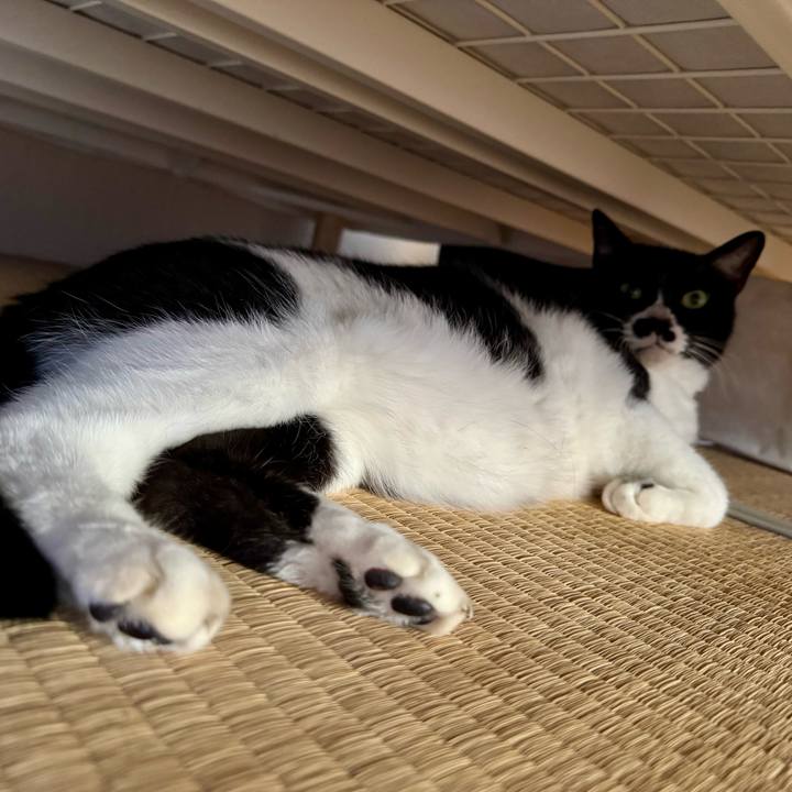 Bc07c4a7 cff9 4656 a1a1 7c74b06d8640 1765325369702