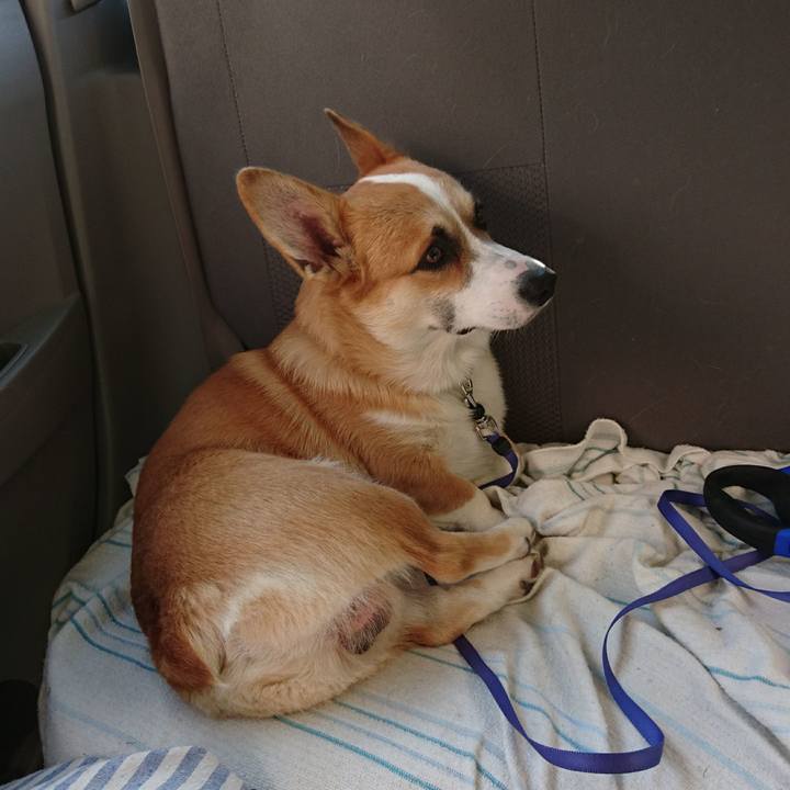 Bc07d44e f647 476e a8d9 3c369f822a76 1573703700206