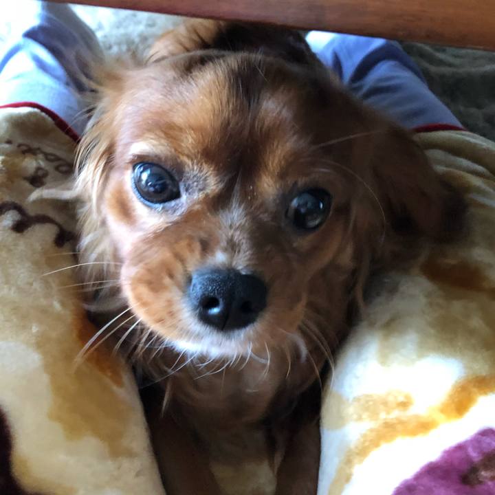 Bc07d4df 1299 45ba a2a7 1eb85d86461c 1525474659388