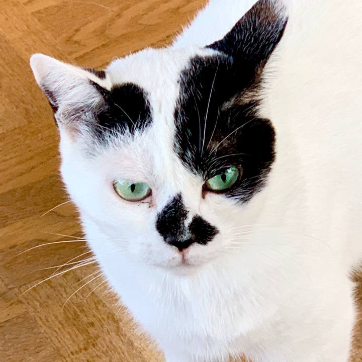 Bc081a5c 2bde 4075 aee4 60c47ed40f4a 1598141863258