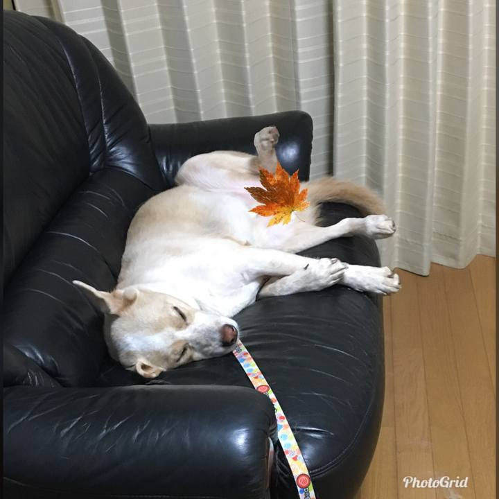 Bc0862ad d414 4268 83bf ccacfbe38425 1539875842281