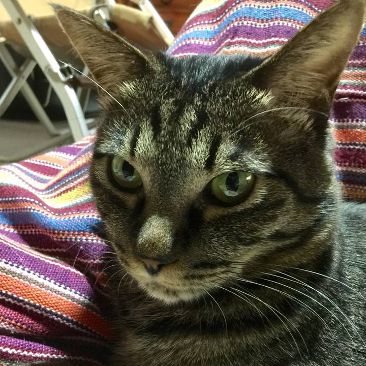 Bc08757f 86aa 4531 a512 c9bbb6cb4ef9 1517314791276