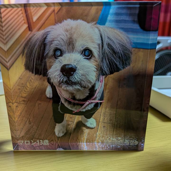 Bc087c6f 7ef2 4719 8a9c a1f543cff7b1 1752069487797