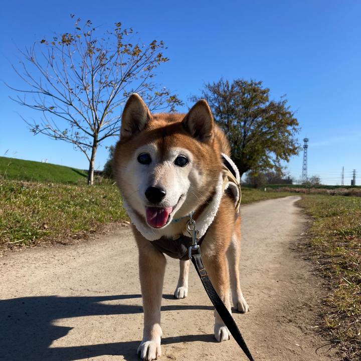 Bc0882ac e0a8 4f5a 8a47 fabdfedaceb7 1733806500467