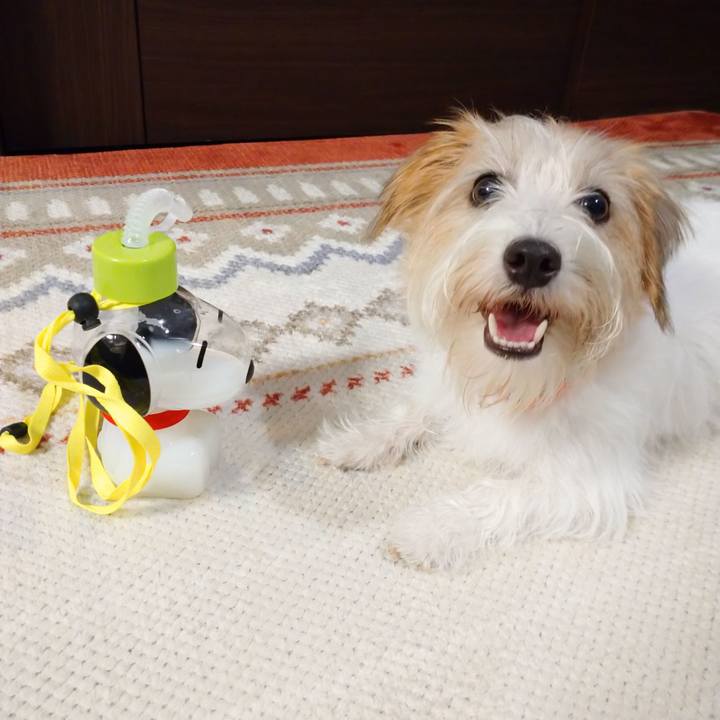 Bc08a635 20e1 4e47 8ac5 c5548ca4964d 1756554716549