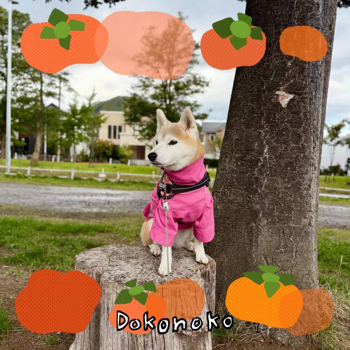 Bc092fbc 7619 4943 8411 9b4031ac451b 1761271303974