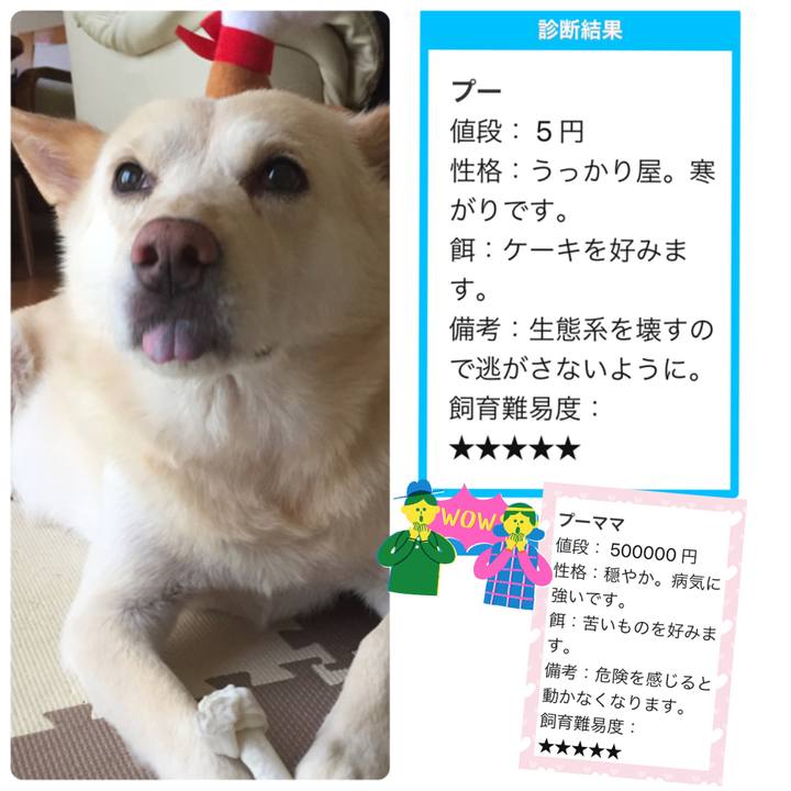 Bc093fe7 5c41 4040 ae87 020fe80be59c 1530020466546