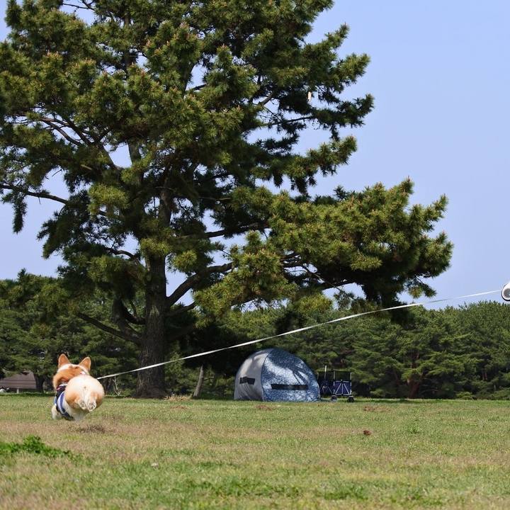 Bc094edc 4952 40c3 ae25 dfbf06adee62 1745677094719