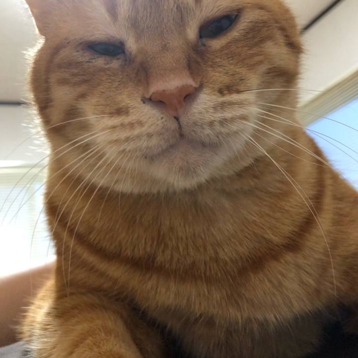 Bc095c73 1468 4d23 a3a5 f5685d72f00a 1647290961994