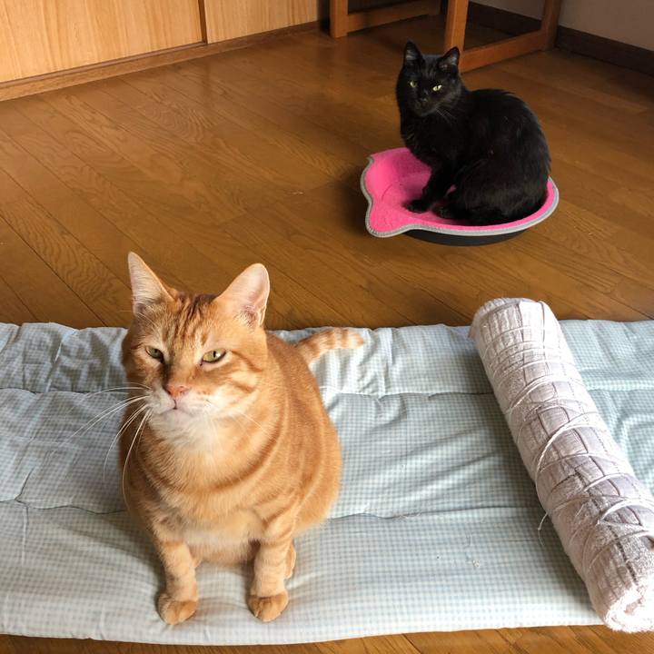 Bc09a203 83ea 4c8e 8248 cda56b65dc43 1569938418919