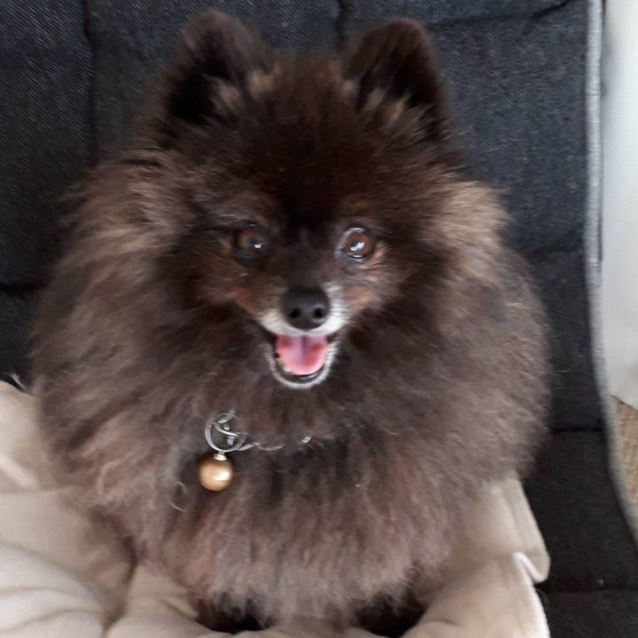 Bc09bc6a 71b6 4702 9c27 abb35c8d6bb7 1522208779275