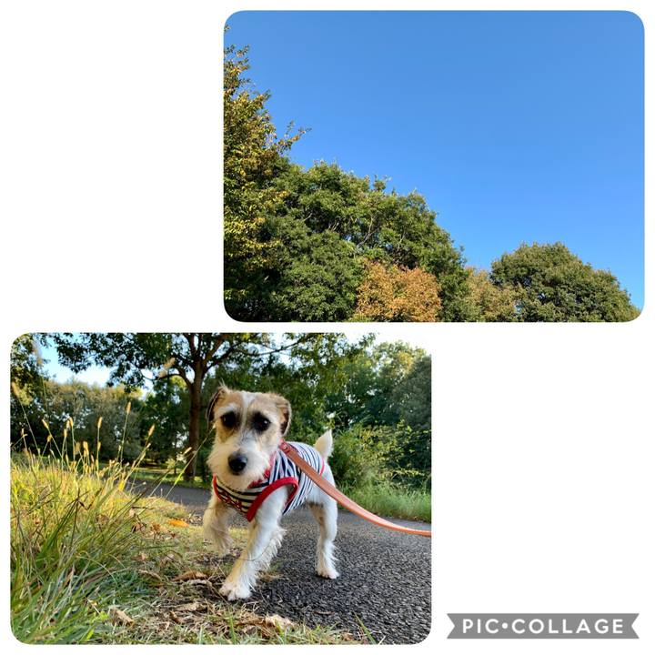 Bc09bd01 0c61 4a64 8e23 66965f1bf501 1604498738710