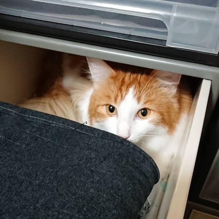 Bc0a0367 70ee 4167 8fe5 19a9d2cea216 1541083045134