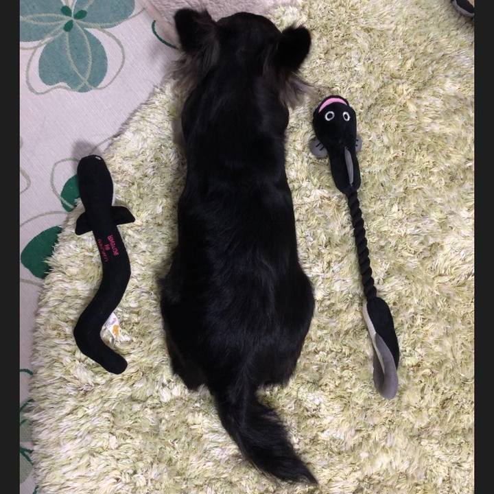 Bc0a4a2e cc2b 4684 9fe2 133c3eae549b 1560985580022