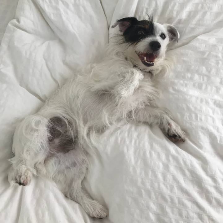 Bc0a4ea6 e2eb 4f44 b3ab 1c5f1895b6b4 1532052273513