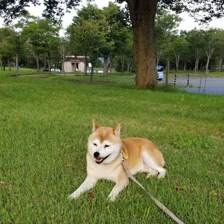 Bc0a56a1 9951 4814 a2f9 fb821f24acda 1630137272418