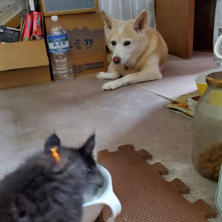 Bc0a87a3 6237 468d a23b f33798363bc5 1625662637969