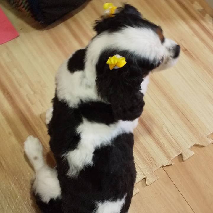 Bc0a89ee d66b 4dbf 8af3 69934241d133 1598187074191