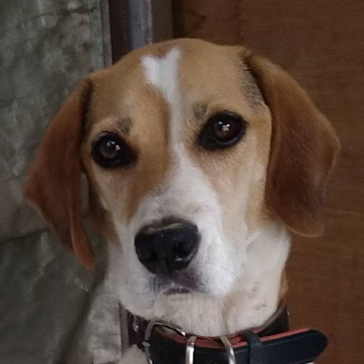 Bc0abed2 0e78 4f9d aab5 1a8f90e47c00 1663152572252