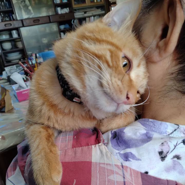 Bc0ad947 1c91 4f77 8dc5 12b5d3d01ae0 1663645510508