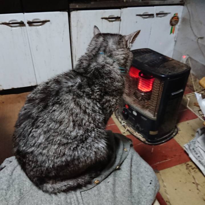 Bc0ae36a b882 45cd 81c7 2394d848a9a4 1576444092730