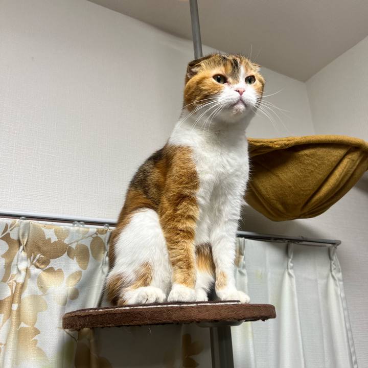 Bc0b01d5 32f8 46b8 b18c 5cda51a83b39 1702973889967