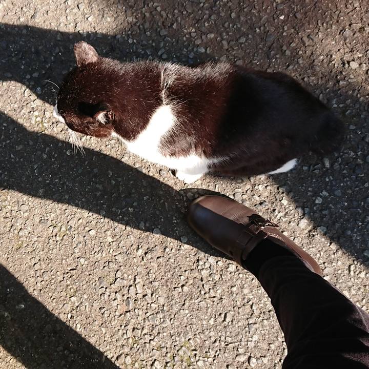 Bc0b1488 f56a 4fa0 9f09 87cd25b6ed7a 1683761144621