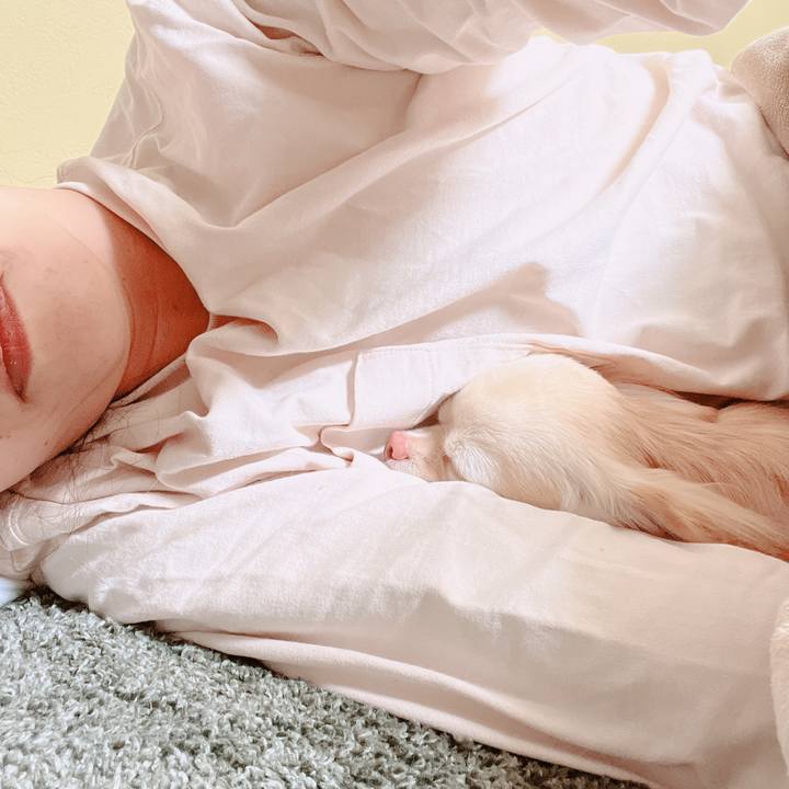 Bc0b54c8 4944 45b1 a7b5 24e9cf683aef 1651283354993