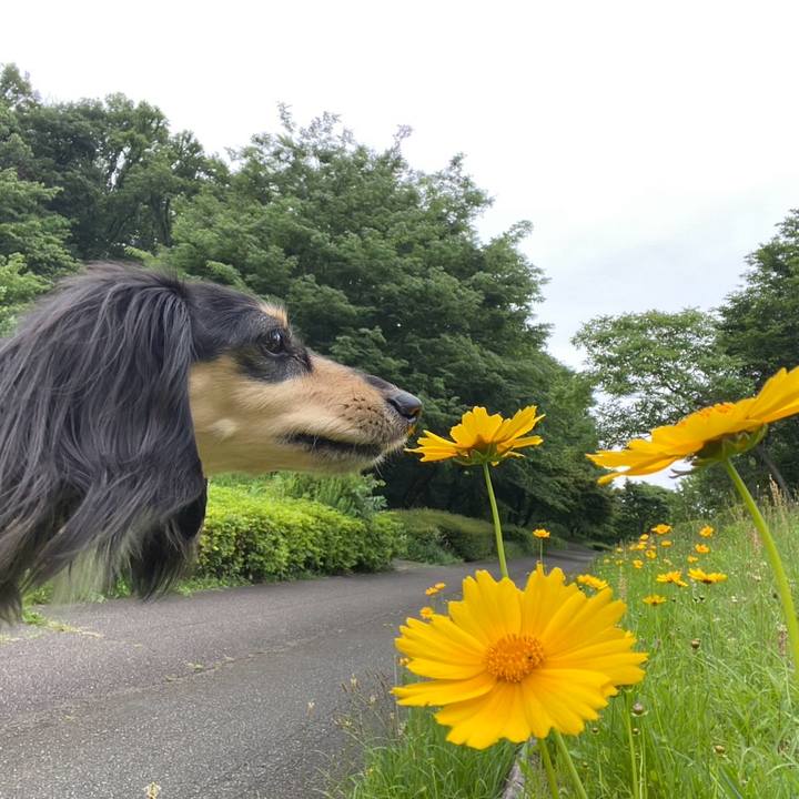 Bc0bab30 f86f 4ce5 a525 41e109f449a4 1748087029167