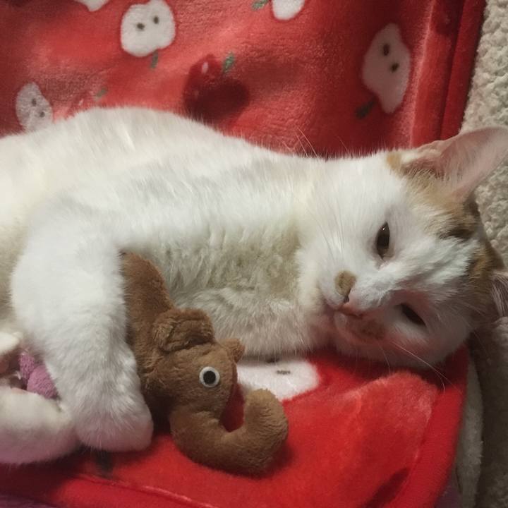 Bc0bcf9a 7cc6 4126 a2bc 83fdbfe5a8a9 1515395501830