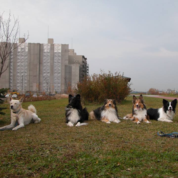 Bc0bd10d 62be 403c a2a6 bf7fad56d552 1526046412166