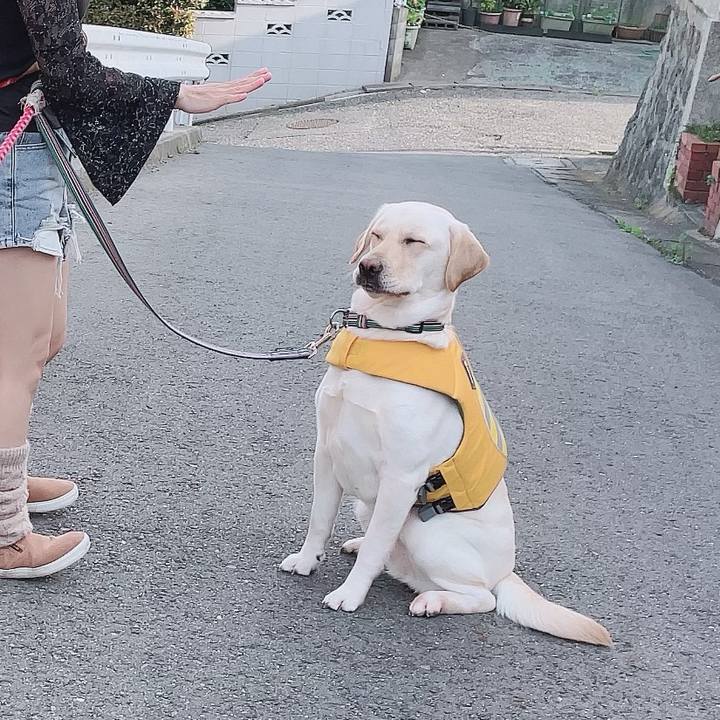 Bc0bdbc9 f0e8 4329 bce4 ac96ba385fd7 1683805327348