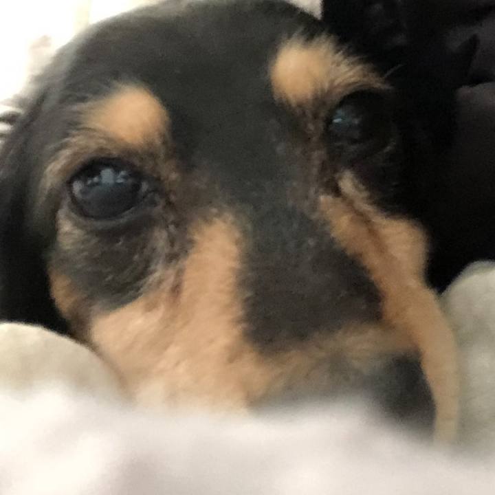 Bc0be6a9 7e89 4d3f 8b81 2bf96febdab7 1549631025185