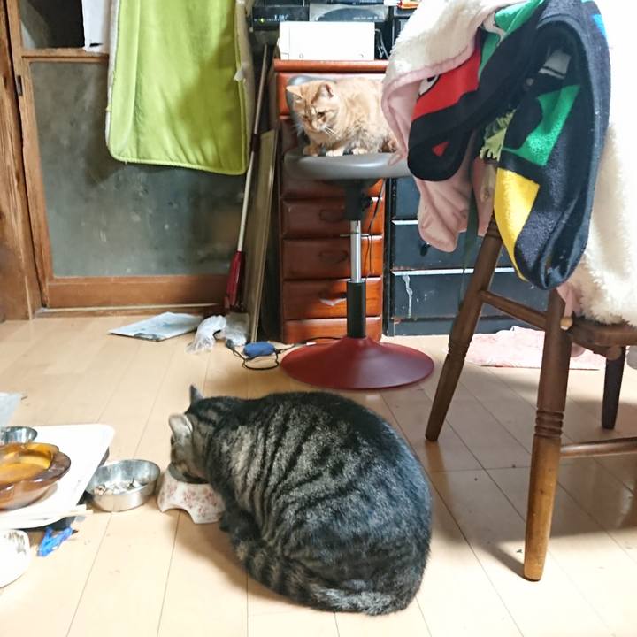 Bc0be7a1 976e 4f6c b8ae 9b6465f94dd7 1636579935109