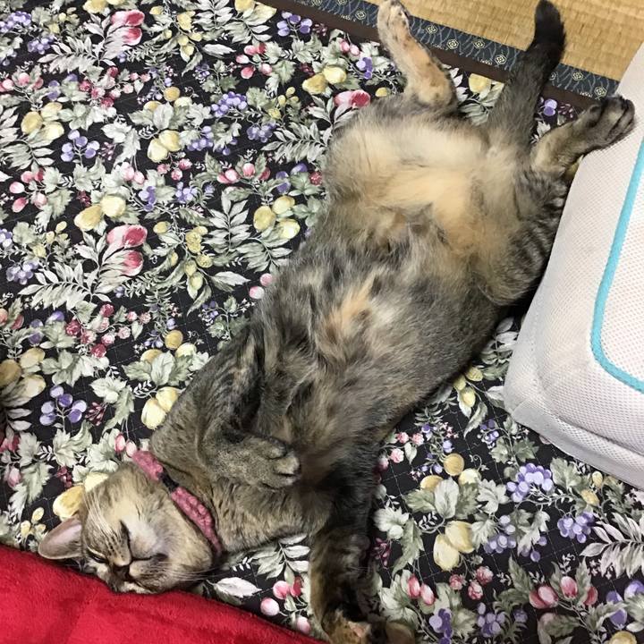 Bc0c1340 1622 4e56 8268 ba3489061562 1594706171391