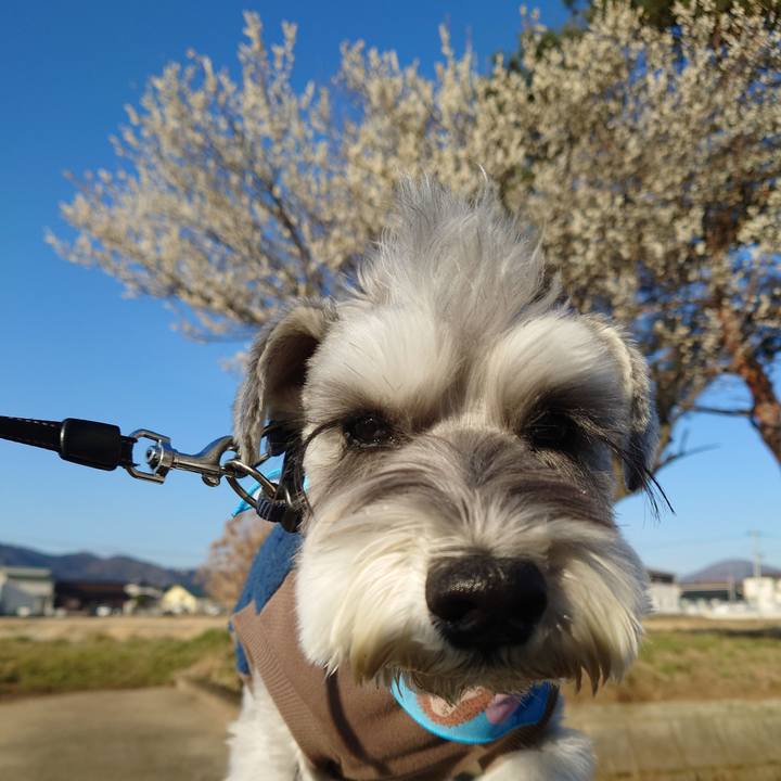 Bc0c9d28 68e9 4646 8b77 93fba4155b81 1773962219516