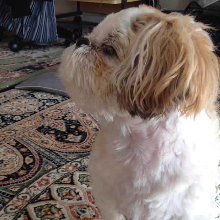 Bc0ca4c8 6713 4d52 936c 70dd2db39e53 1513288655462