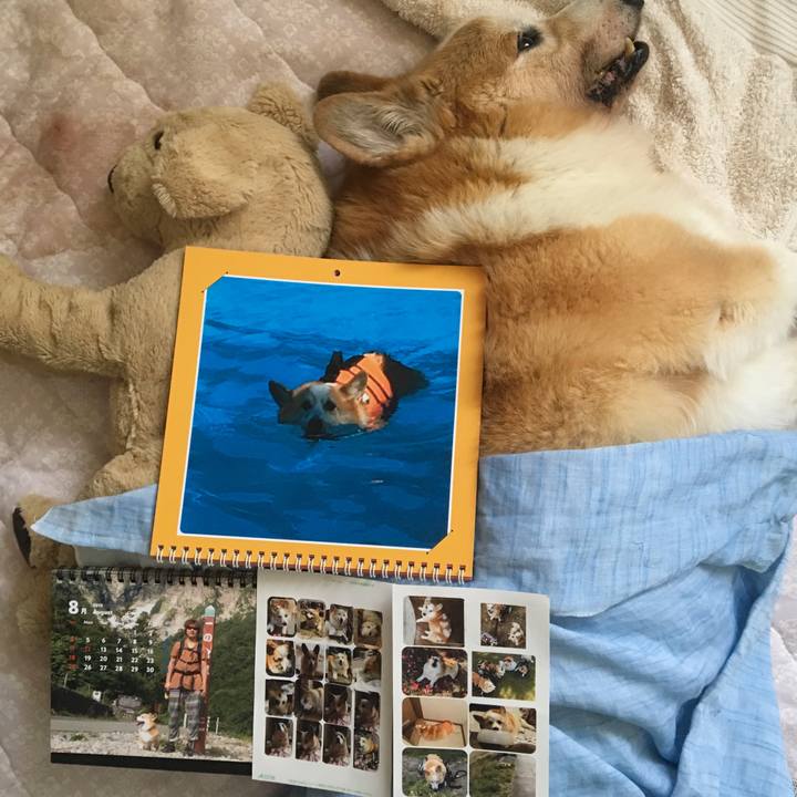 Bc0cbb3a fa95 4691 b7cb 8fdb9ee44dbe 1564615196584