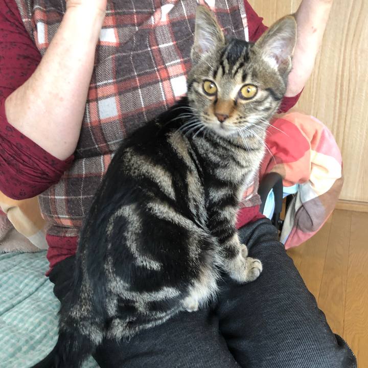 Bc0d1f0b 15ff 43fc 8c08 52ba9b0d892c 1733027507014