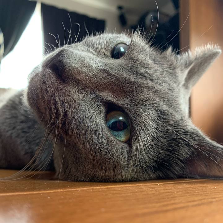 Bc0d2b78 b3ce 45b0 b903 9baa7c5226d3 1657929881290