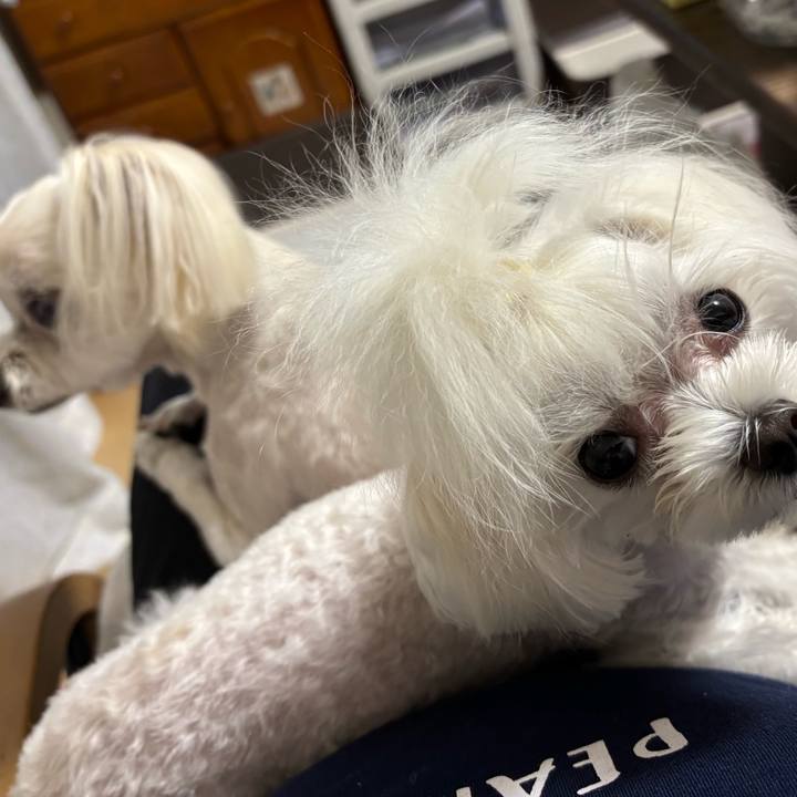 Bc0d637d 3e62 4651 95af 700bd3bb2bda 1750664390975